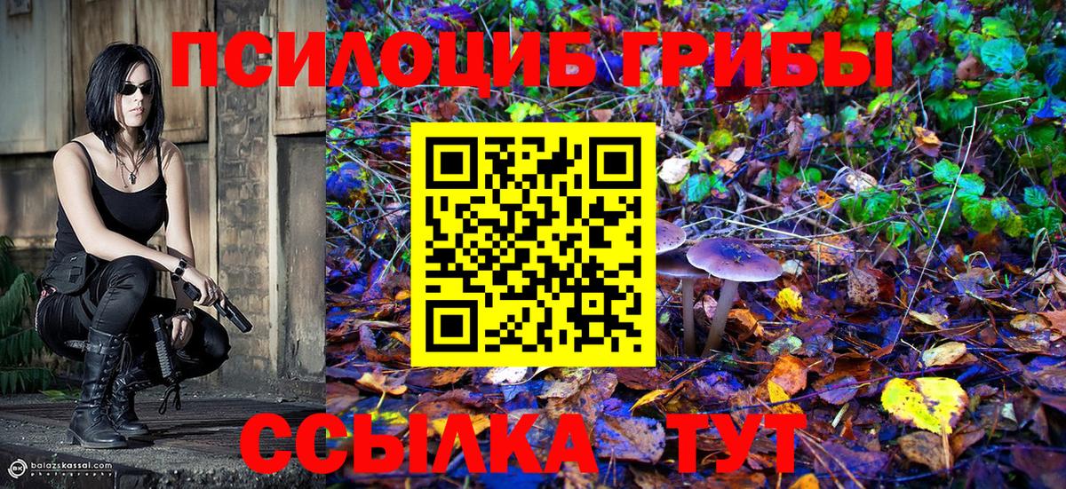 Тимашёвск  Псилоцибиновые грибы прущие грибы  Вход с VPN  Галлюциногенные грибы ЛСД 