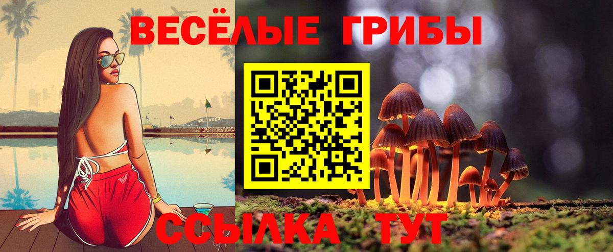 Галлюциногенные грибы мухоморы Тимашёвск